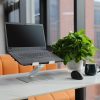 Amazon Basics állítható ergonómikus laptop állvány, több szögben állítható, ezüst színű, 10-17 hüvelykes laptopokhoz