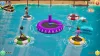 Sports Camp Une Aventure En 35 Jeux Nintendo Switch Játék, Nyári Tábor Témájú Kaland, Minijáték Gyűjtemény, Sport És Ügyességi Játékok, Családi Szórakozás