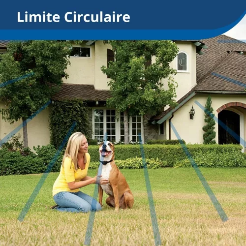 PetSafe Stay & Play Vezeték nélküli szökésbiztos kerítés újratölthető nyakörvvel 3000 m²