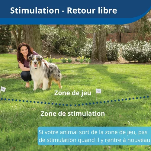 PetSafe Stay & Play Vezeték nélküli szökésbiztos kerítés újratölthető nyakörvvel 3000 m²