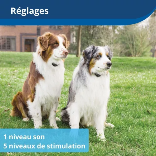 PetSafe Stay & Play Vezeték nélküli szökésbiztos kerítés újratölthető nyakörvvel 3000 m²