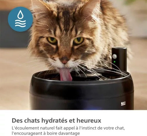 Philips Pet Series Smart Macska itató 2.2L