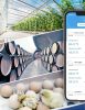 Govee H5179 WiFi Hőmérséklet és Páratartalom Mérő Szenzor