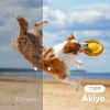 Akiyo O1 Mini LED Projektor 720p HDMI/AUX/AV/USB 