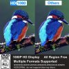 Tojock HDMI AV HD TV DVD lejátszó USB bemenet és távirányító